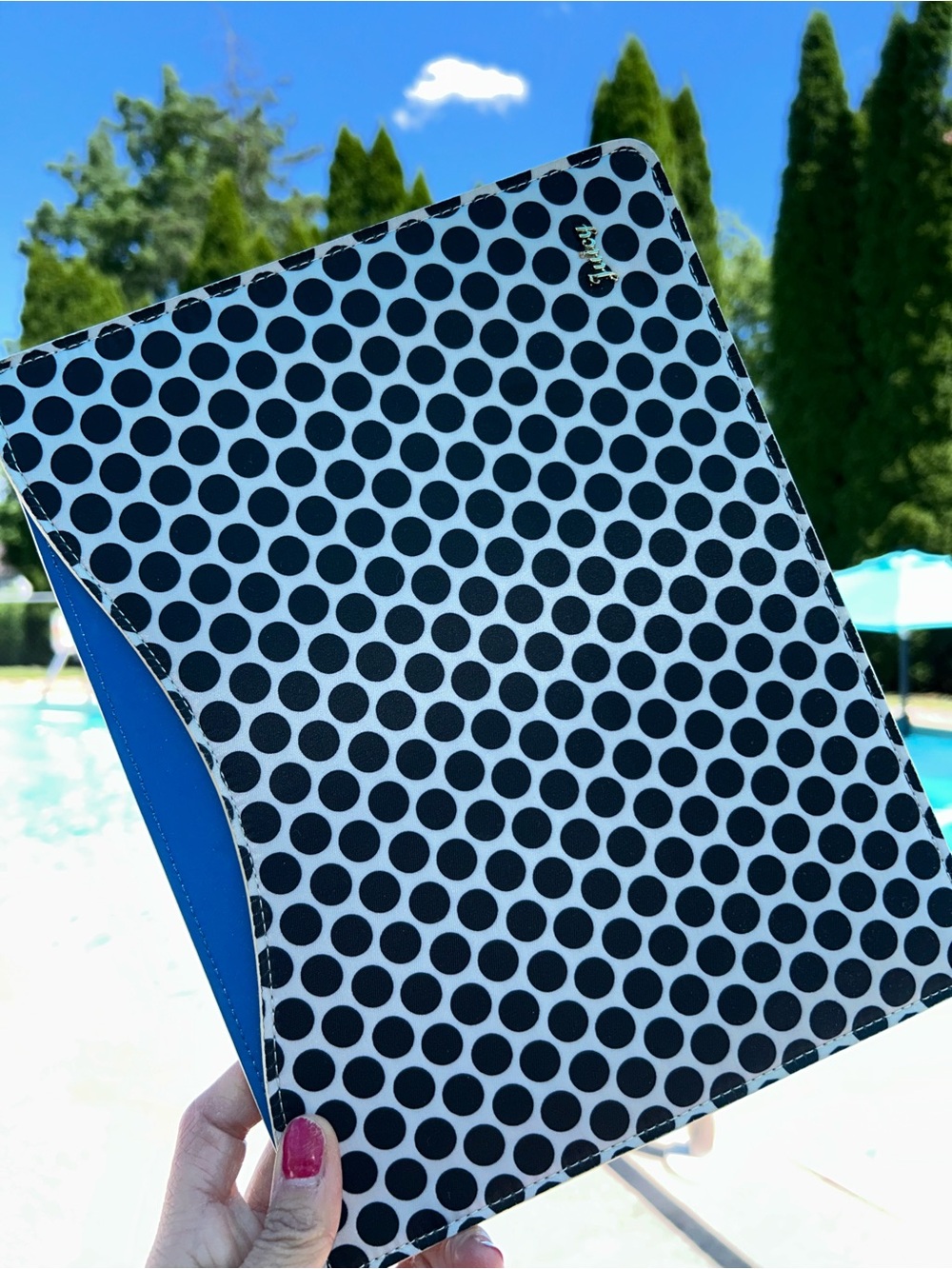 NWT Juicy couture polka dot iPad case - Picture 2 of 5